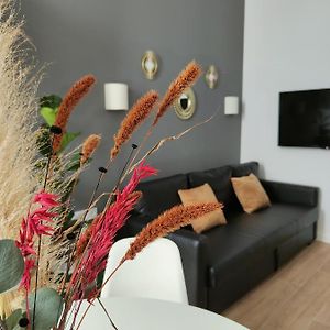 Apartamento Superior de 1 Dormitorio